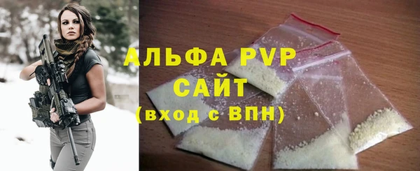 стаф Белокуриха